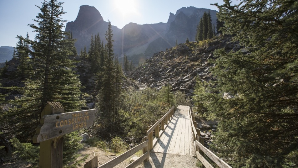 Hiking trails to Consolation Lake, Banff National Park