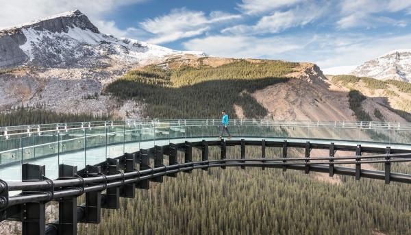 Icefield
