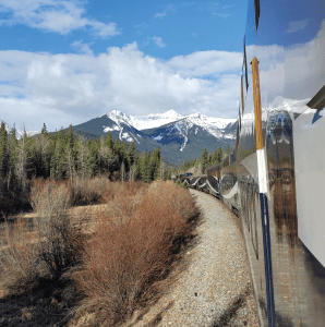 views from the side of the train