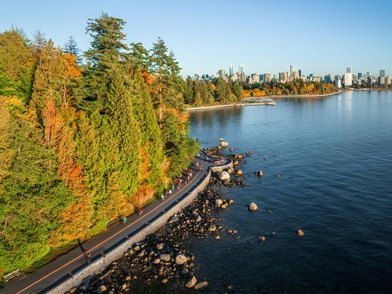Aerial shot of the Seawall in Stanley Park in fall
